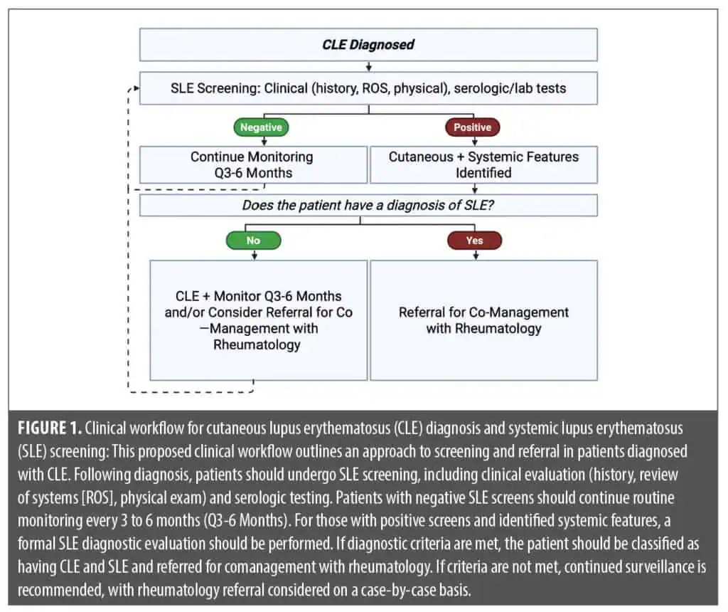 What's New in Cutaneous Lupus Erythematosus: Guidelines, Biologics, and ...
