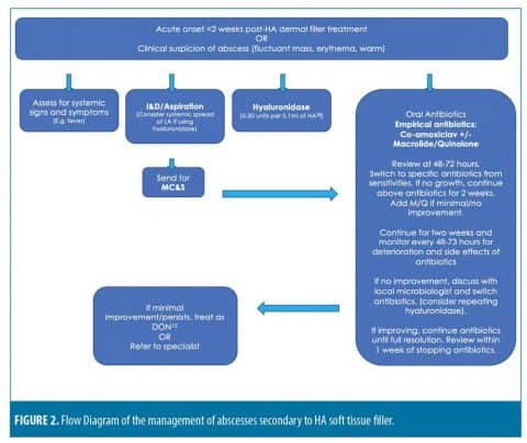 Case Series and Review on Managing Abscesses Secondary to Hyaluronic ...